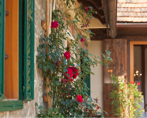 10 Details Landhaus 1650x1100