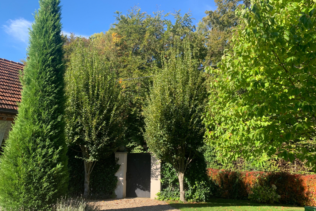 5 Landhaus Austria Garten Fehring 2019 2332 1650x1100