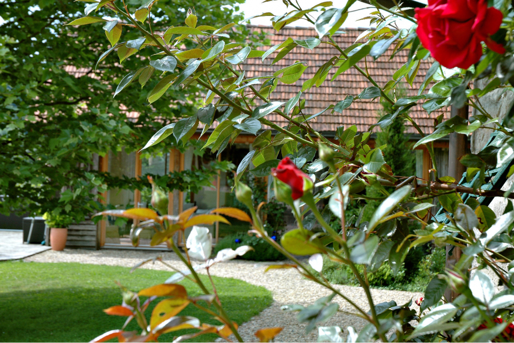 6 Landhaus Autria Garten & Eingang IMG_9425 1650x1100