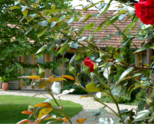 6 Landhaus Autria Garten & Eingang IMG_9425 1650x1100