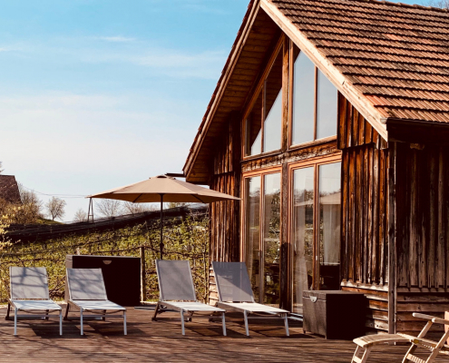 8 Landhaus Austria-Presshaus mit Poolterrasse IMG_8689 1650x1100