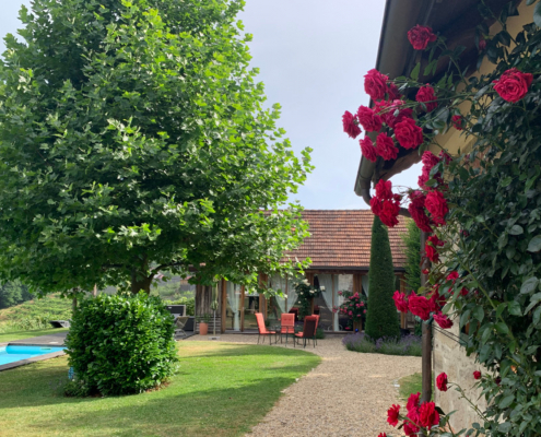 8 Platane & Presshaus