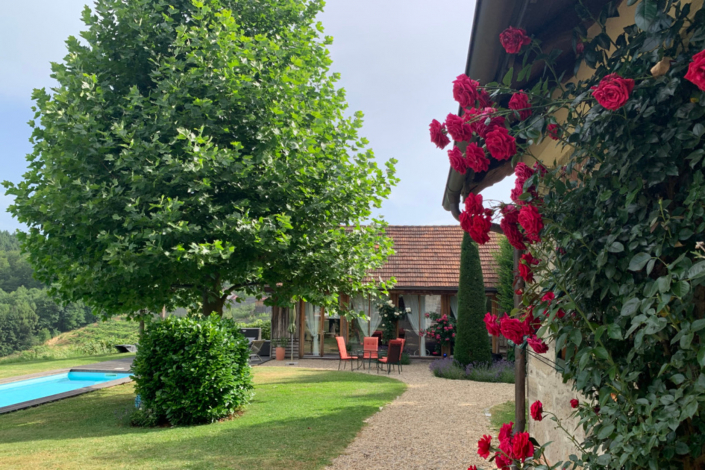 8 Platane & Presshaus