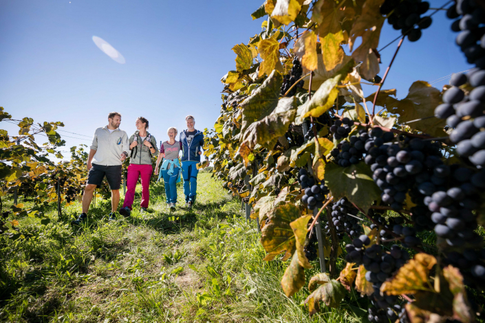 Kuruzenschenke Kuruzenschenke