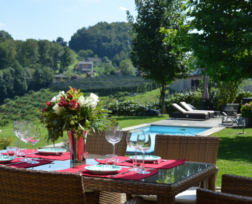 5 Landhaus Austria Blick zum pool DSC_4727 1650x1100