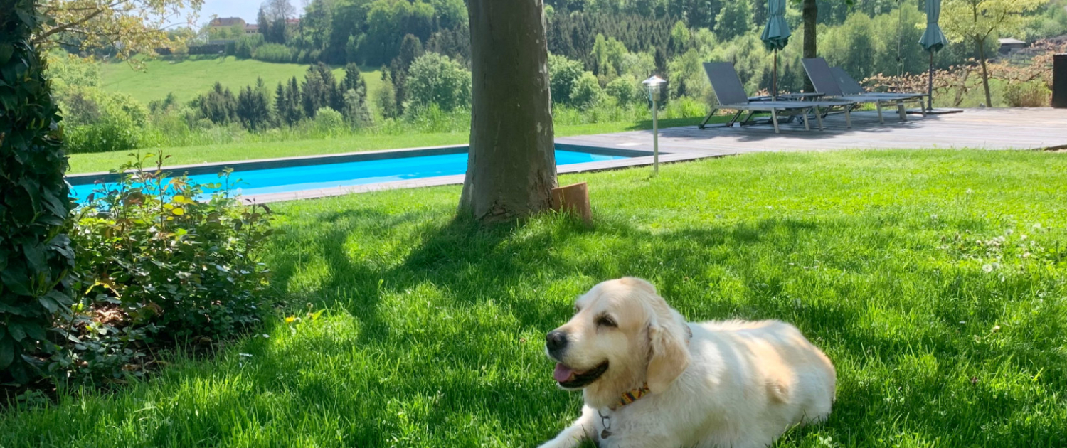 Landhaus Austiria Hera IMG_3750