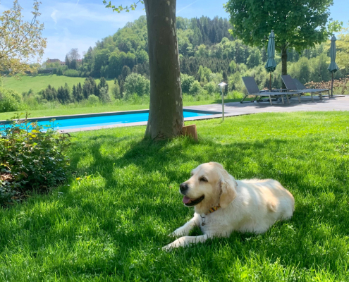 Landhaus Austiria Hera IMG_3750