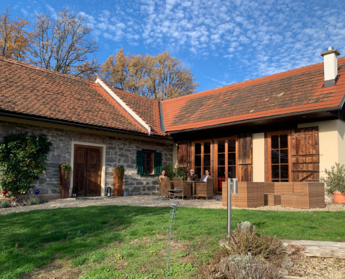 Landhaus Austria 9902