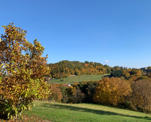 Landhaus Austria Gelände