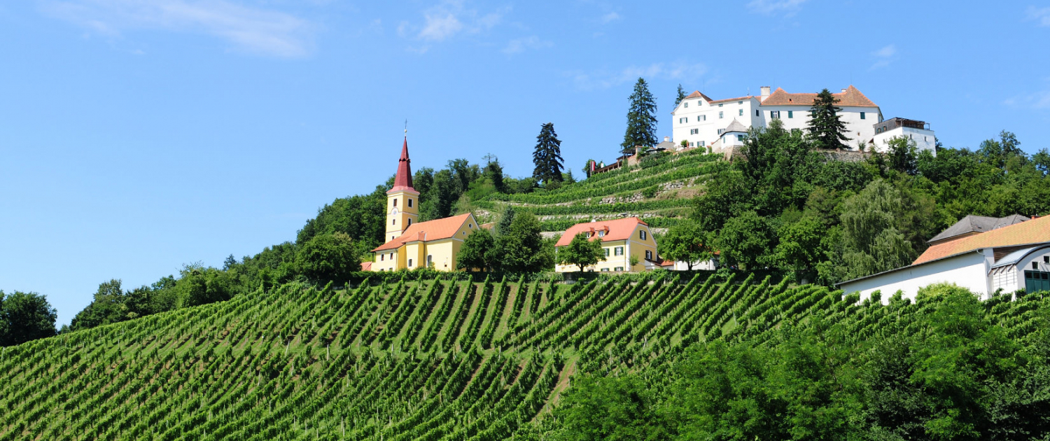 Schloss Kapfenstein Weingut Winkler-Hermaden Schloss Kapfenstein Weingut Winkler-Hermaden